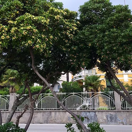 Secret Garden זאדאר